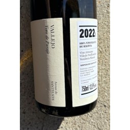 Esmeralda Garcia Vin de Segovia blanc Arenas de Santyuste Vallejo 2022