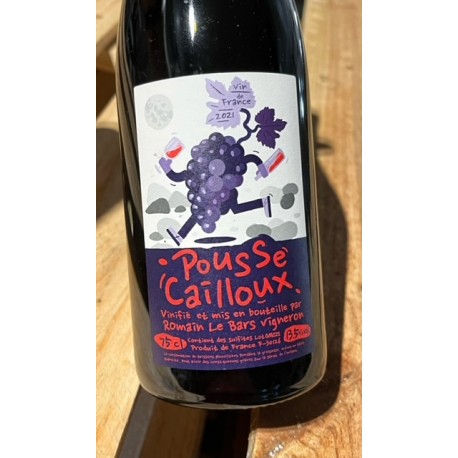 Romain Le Bars Vin de France rouge Pousse-Cailloux 2021 magnum