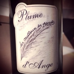 Les Cailloux du Paradis Vin de France blanc Plume d'Ange 2014