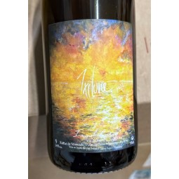 Imanol Garay Vin de France blanc Ixilune 2023