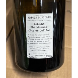 Domaine de la Borde Arbois Pupillin Chardonnay Côte de Caillot 2023 magnum