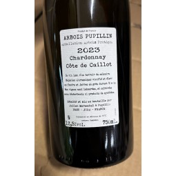 Domaine de la Borde Arbois Pupillin Chardonnay Côte de Caillot 2023