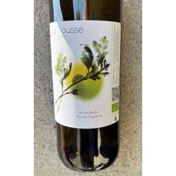 Kevin Barbet Vin de France blanc La Pousse 2024