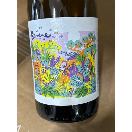 Simon Busser Vin de France blanc Savane 2024 Simon Busser Vin de France blanc Savane 2024