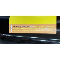 Les frères Soulier Vin de France blanc Kayak 2019