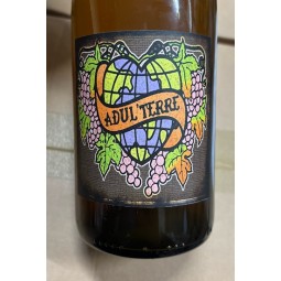 Domaine in Black Vin de France blanc Adul'Terre 2024