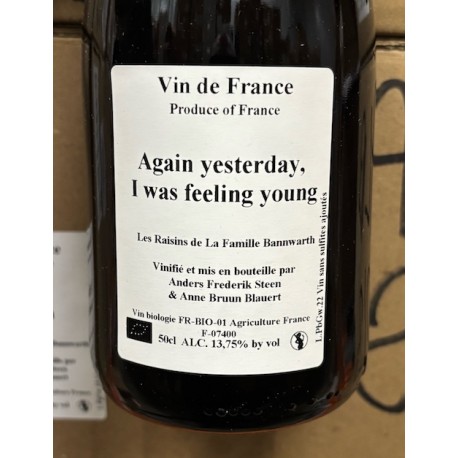 Anders Frederik Steen & Anne Bruun Blauert Vin de France blanc Again Yesterday I was feeling young 2022 2022