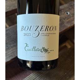 Dominique Derain Bouzeron 2023