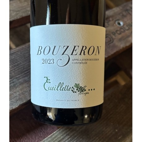 Dominique Derain Bouzeron 2023