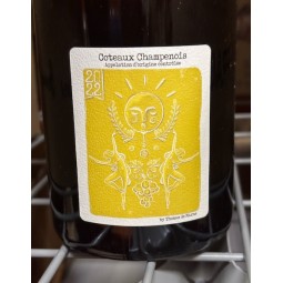 Thomas de Marne Coteaux Champenois blanc 2022 Magnum