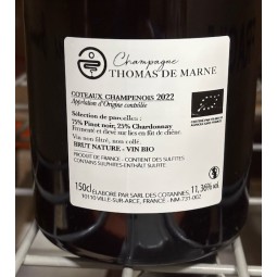 Thomas de Marne Coteaux Champenois blanc 2022 Magnum