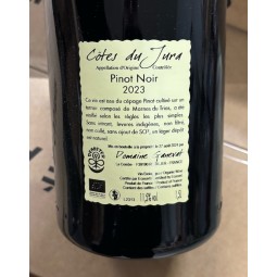 Domaine Ganevat Côtes du Jura Pinot Noir Grandes Teppes 2023 Magnum