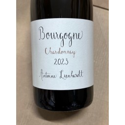 Domaine Antoine Lienhardt Bourgogne blanc Chardonnay 2023