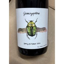 Domaine Antoine Lienhardt Coteaux Bourguignons Gamayoptère2024