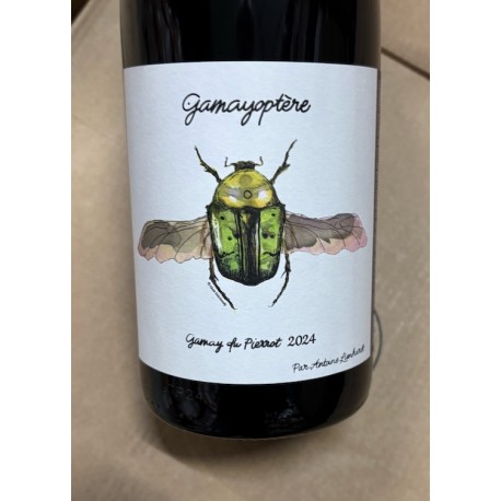 Domaine Antoine Lienhardt Coteaux Bourguignons Gamayoptère2024