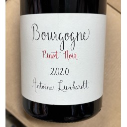 Domaine Antoine Lienhardt Bourgogne Pinot Noir 2020 Magnum
