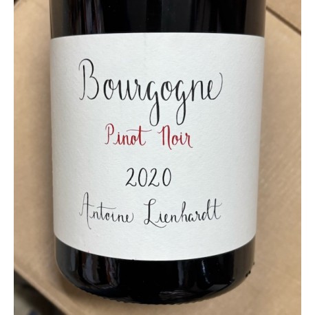 Domaine Antoine Lienhardt Bourgogne Pinot Noir 2020 Magnum