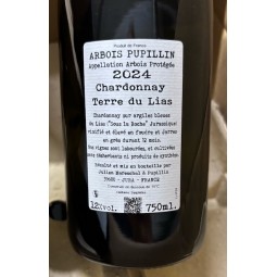 Domaine de la Borde Arbois Pupillin Chardonnay Terre du Lias 2024