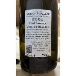 Domaine de la Borde Arbois Pupillin Chardonnay Côte de Caillot 2024