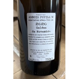 Domaine de la Borde Arbois Pupillin blanc Gelées de Novembre naturé 2020