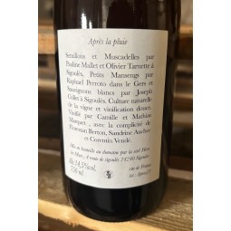 Lestignac Hors les Murs Vin de France blanc Après la Pluie 2023
