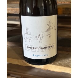 Ruppert-Leroy Coteaux Champenois blanc 2019