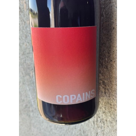 Domaine du Petit Oratoire Vin de France rouge Copains 2025