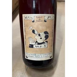 Le Raisin à Plume Vin de France rouge Vas-y 2025