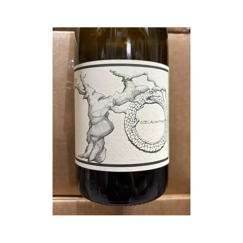 Jean-Christophe Garnier Vin de France blanc Cœlacanthe 2025