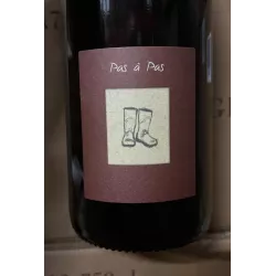 Domaine Jérôme Jouret Vin de France rouge Pas à Pas 2025