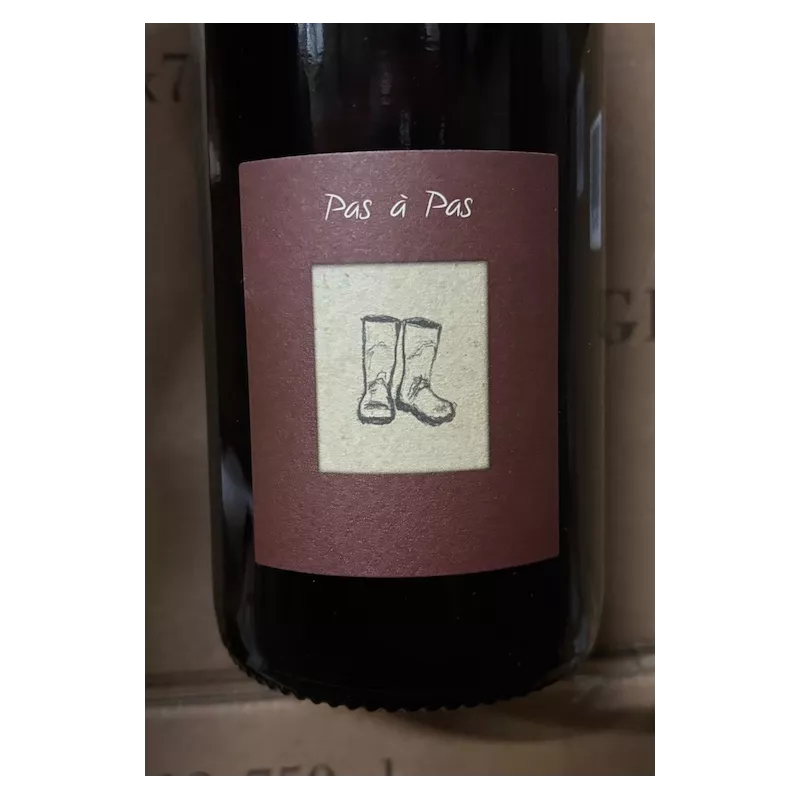 Domaine Jérôme Jouret Vin de France rouge Pas à Pas 2025