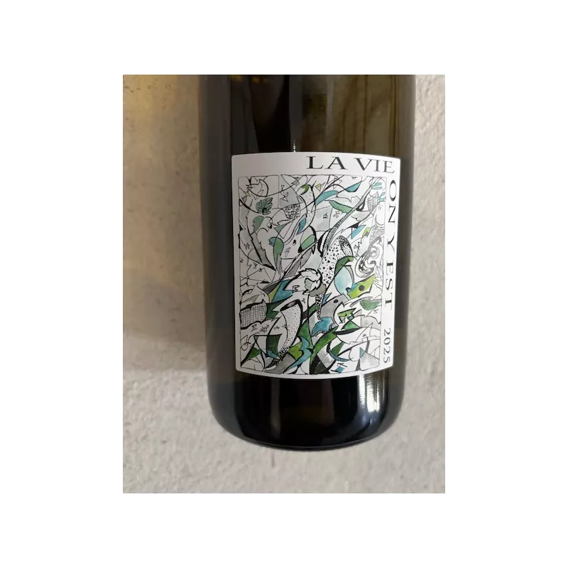 Domaine Gramenon Côtes du Rhône blanc La Vie on y est 2025