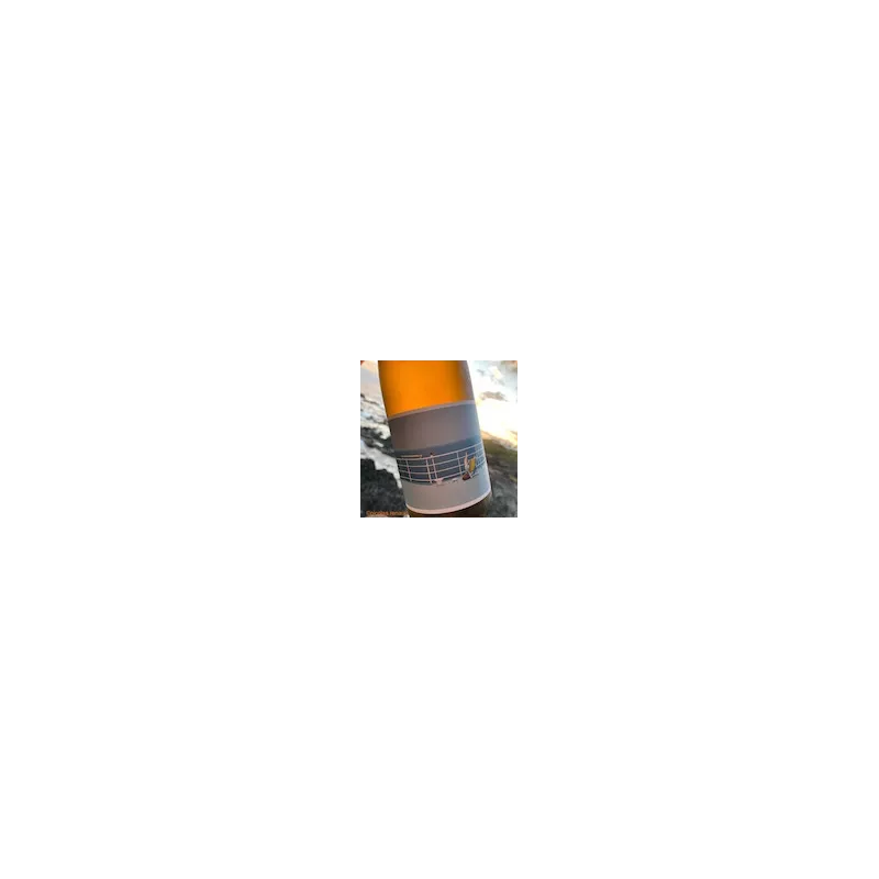 Le Clos des Grillons Vin de France blanc Soleil 28 2020