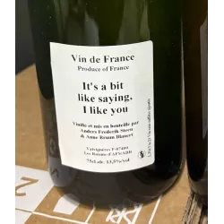 Anders Frederik Steen & Anne Bruun Blauert Vin de France blanc pet nat It’s a bit like saying, I like you 2023