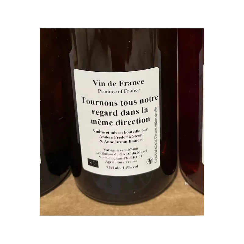 Anders Frederik Steen & Anne Bruun Blauert Vin de France blanc Tournons tous notre regard dans la même direction 2022
