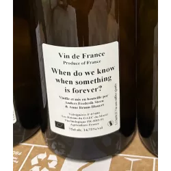 Anders Frederik Steen & Anne Bruun Blauert Vin de France blanc When do we know when something is forever? 2022