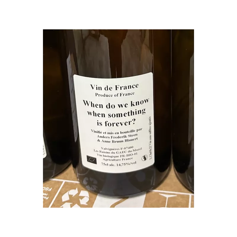 Anders Frederik Steen & Anne Bruun Blauert Vin de France blanc When do we know when something is forever? 2022