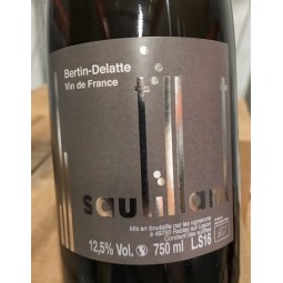 Bertin-Delatte Vin de France blanc Pét-Nat Sautillant 2016
