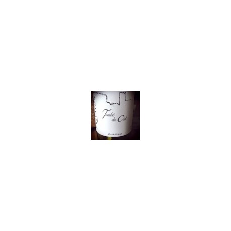 Domaine Rivaton Vin de France rouge Tombé du Ciel 2013 Magnum Domaine Rivaton Vin de France rouge Tombé du Ciel 2013 Magnum