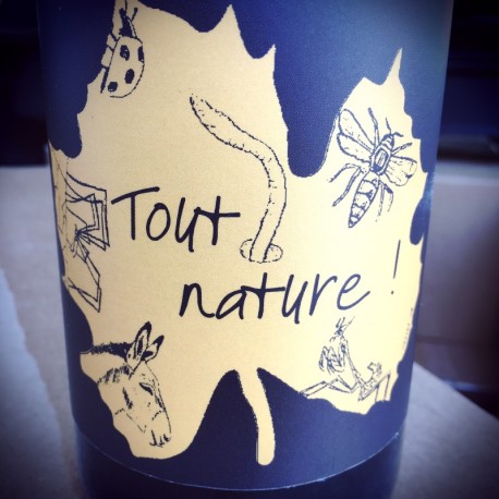 Domaine Ledogar Vin de France Tout Nature 2017 Domaine Ledogar Vin de France Tout Nature 2017
