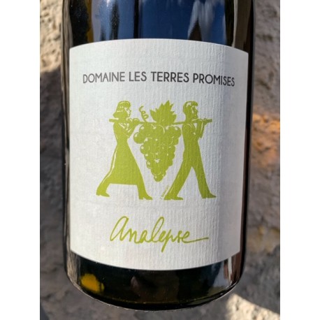 Domaine Les Terres Promises Vin de France blanc Analepse non-filtré 2018