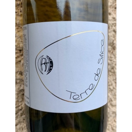 Reynald Héaulé Vin de France blanc Terre de Silice 2011 Reynald Héaulé Vin de France blanc Terre de Silice 2011