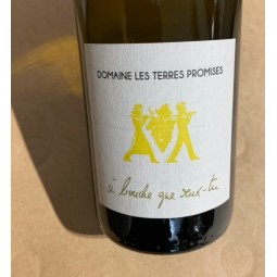 Domaine Les Terres Promises AOC Coteaux Varois en Provence L'Alibi 2016