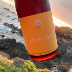 Le Clos des Grillons Vin de France rouge Une Ile 2023