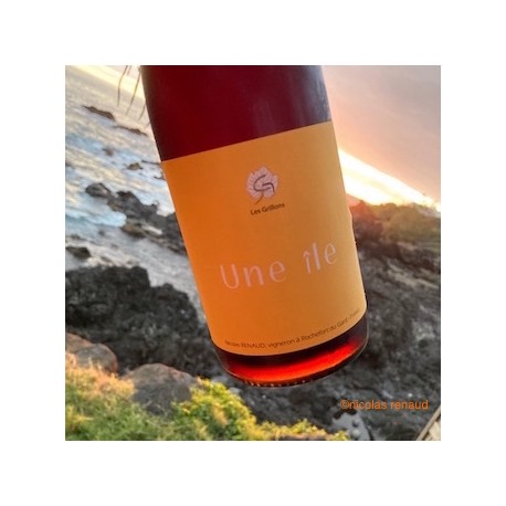Le Clos des Grillons Vin de France rouge Une Ile 2024 Le Clos des Grillons Vin de France rouge Une Ile 2024