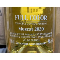 Benoit Arletaz Vin de France blanc Full Color Muscat 2020