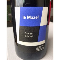 Domaine du Mazel Vin de France rouge Briand 2014 magnum