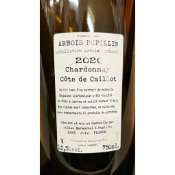 Domaine de la Borde Arbois Pupillin Chardonnay Côte de Caillot 2020