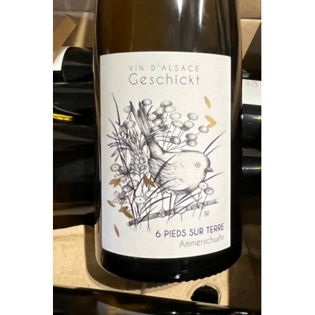 Domaine Geschickt Alsace Six Pieds sur Terre 2017 Domaine Geschickt Alsace Six Pieds sur Terre 2017