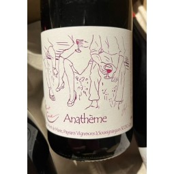 Domaine Mont de Marie Vin de France rouge Anathème 2025